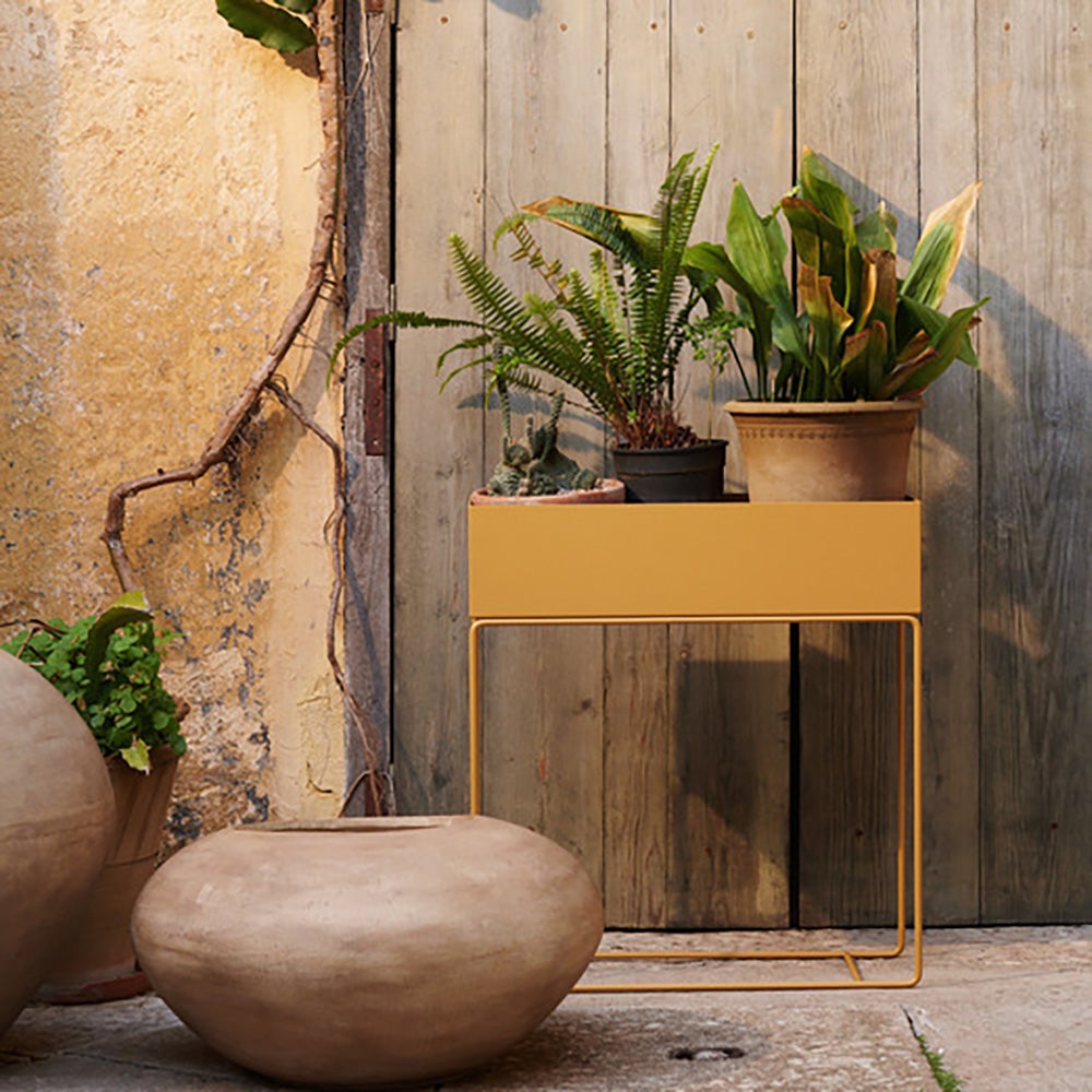 Blomlåda - Senapsgul