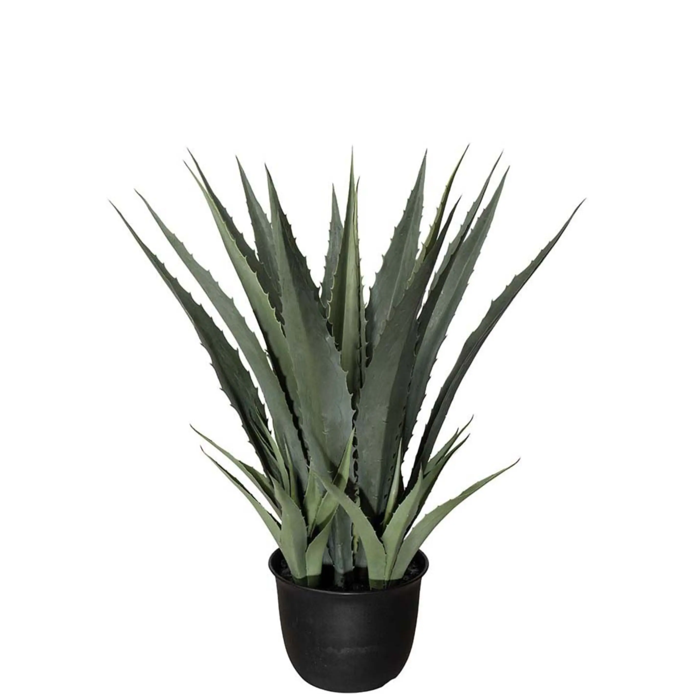 Agave Grön 100 cm