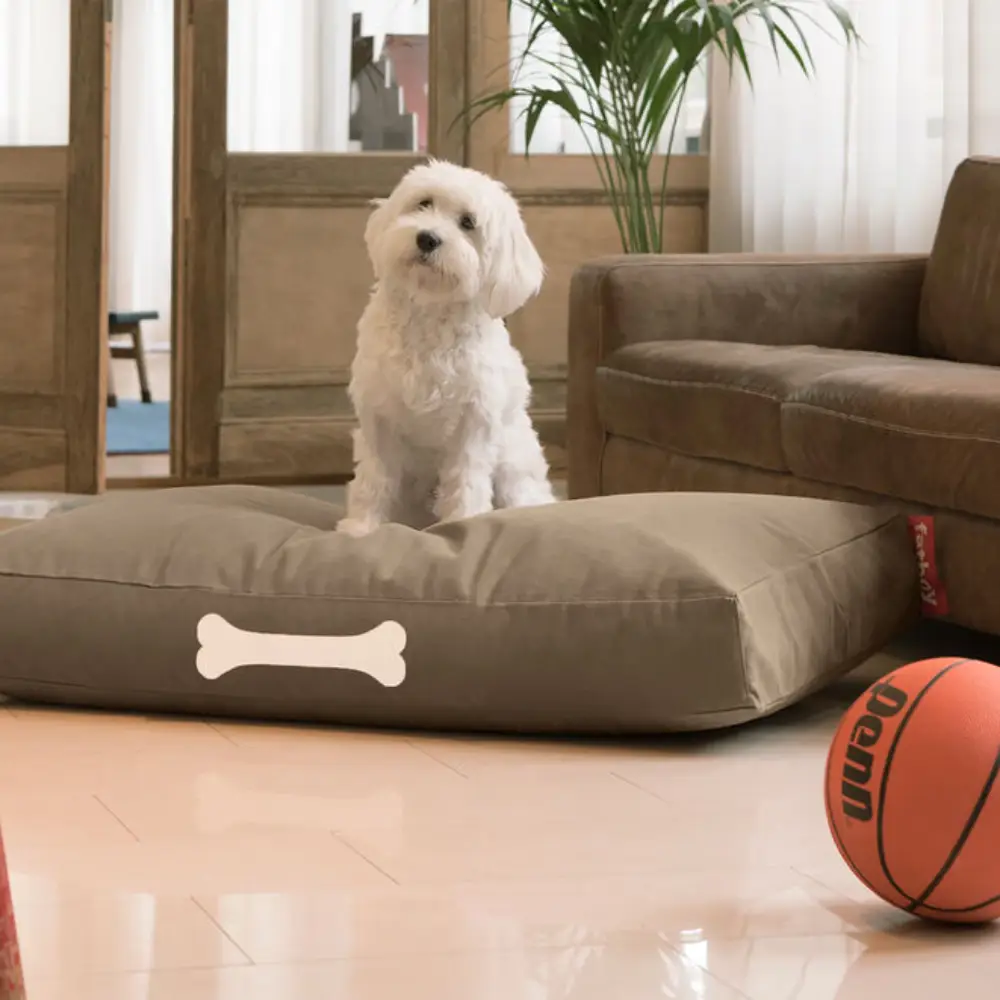 doggielounge L canvas Hundbädd recycled taupe grey