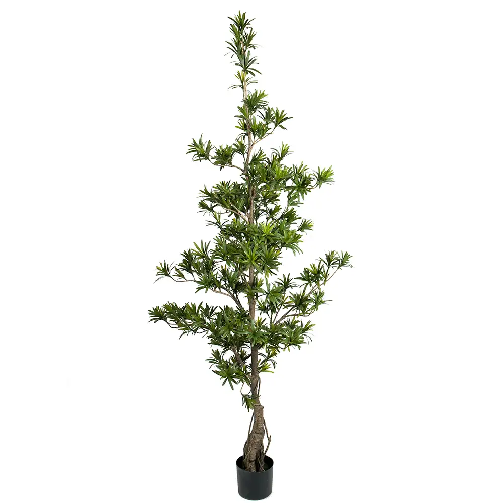 Produktfoto för Mr Plant, Podocarpusträd 180 cm
