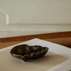 Oyster Bowl - Brass