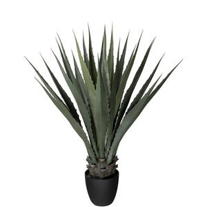 Agave Grön 100 cm