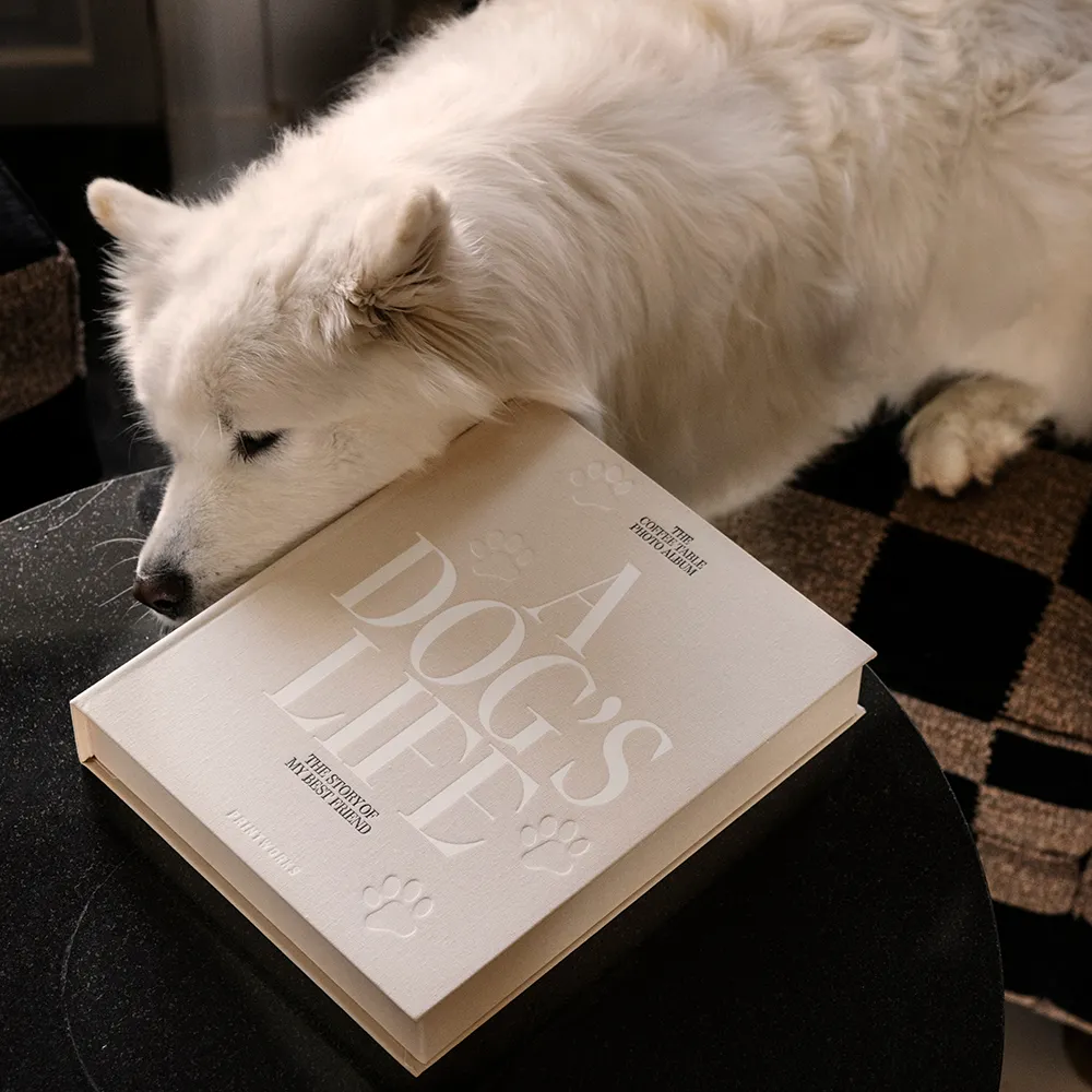 Hund Fotoalbum - A Dog's Life