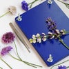 Blompress Kit