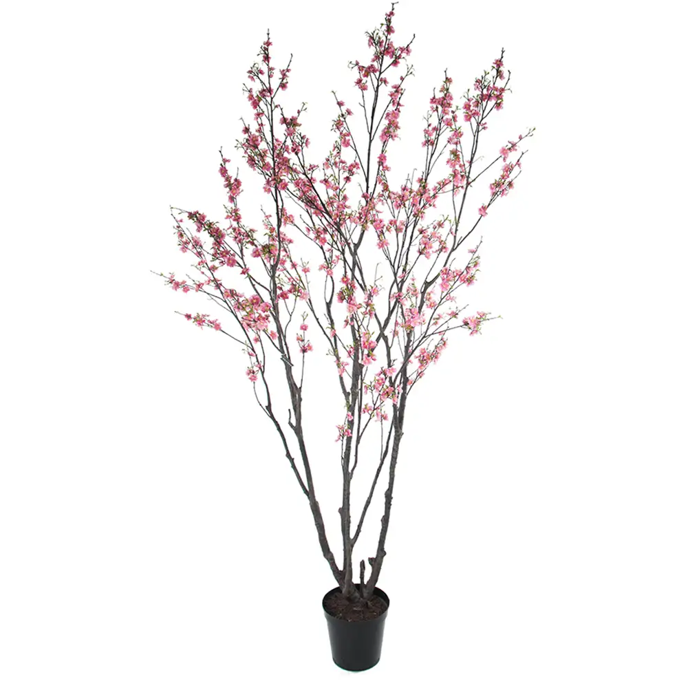 Produktfoto för Mr Plant, Körsbärsblomträd 240 cm