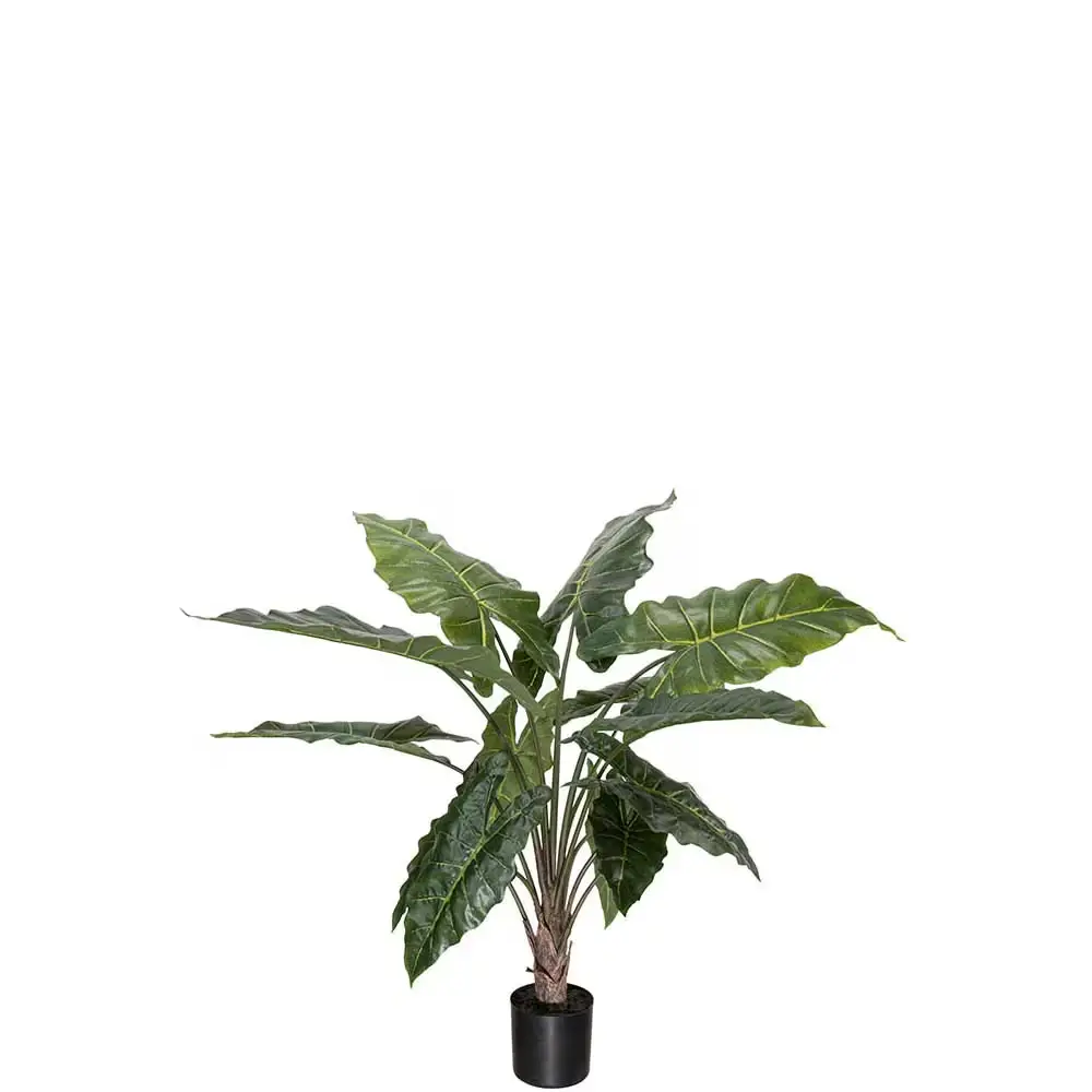 Alocasia Krukväxt 90 cm
