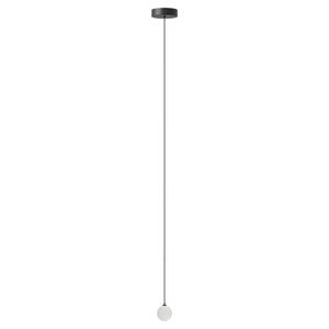 Rosette Mini Cord Single Black