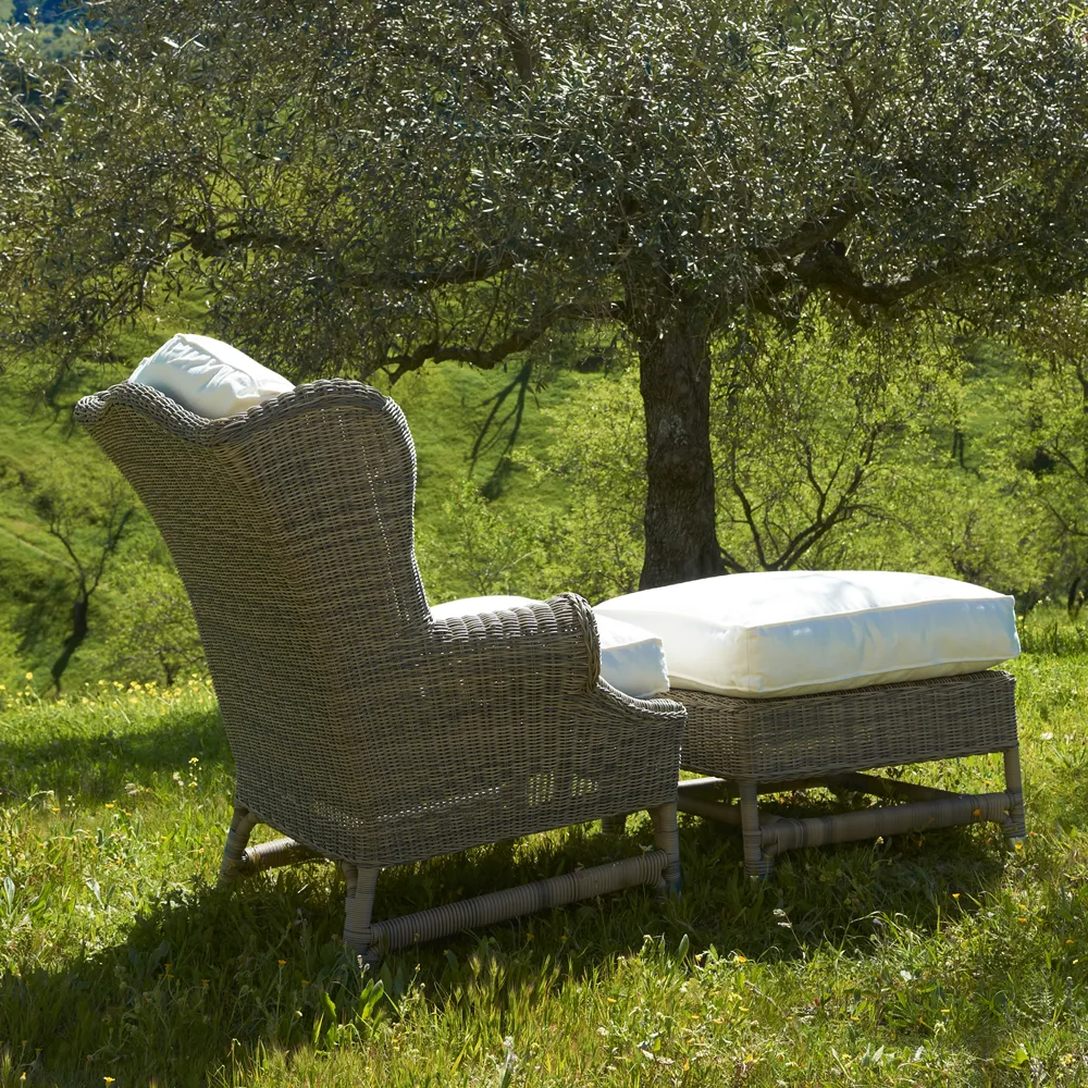 Nicolas öronlappsfåtölj konstrotting