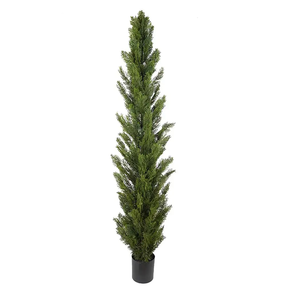 Produktfoto för Mr Plant, Cypressträd 120 cm