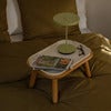 Asteria Move Monochrome Portabel lampa Leaf