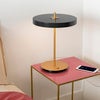 Asteria table Bordslampa Ø31 cm Anthracite Grey