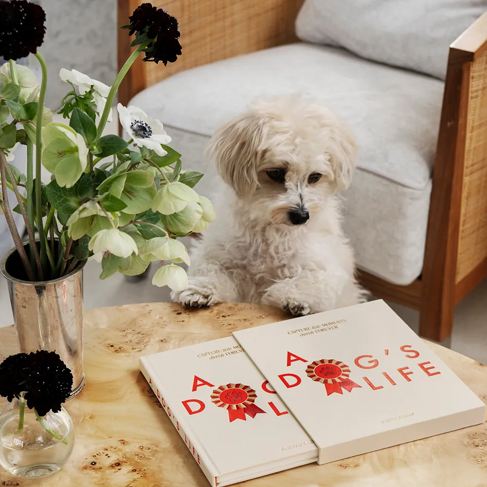 Hunddagbok A Dog's Life