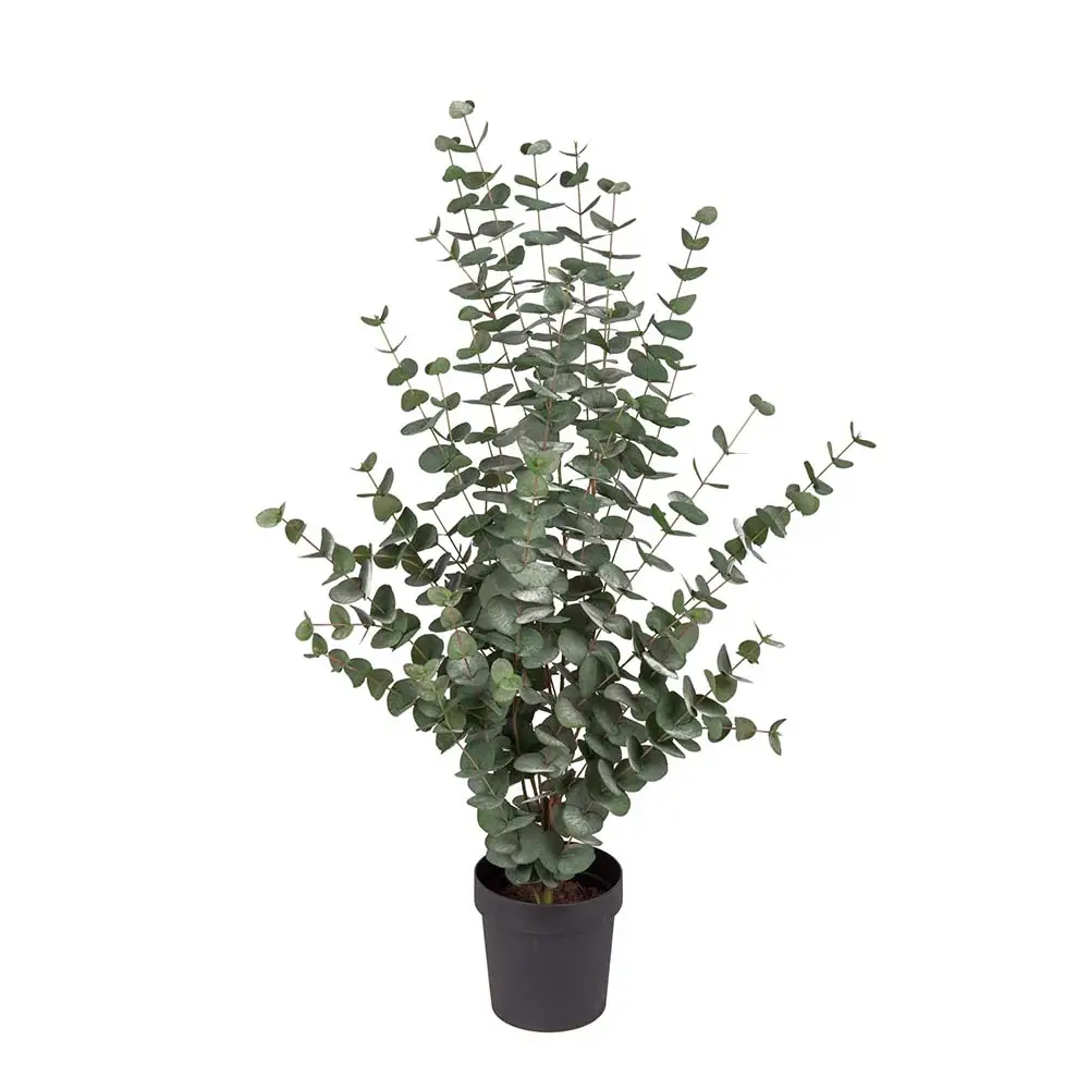 Produktfoto för Eucalyptus konstväxt grön