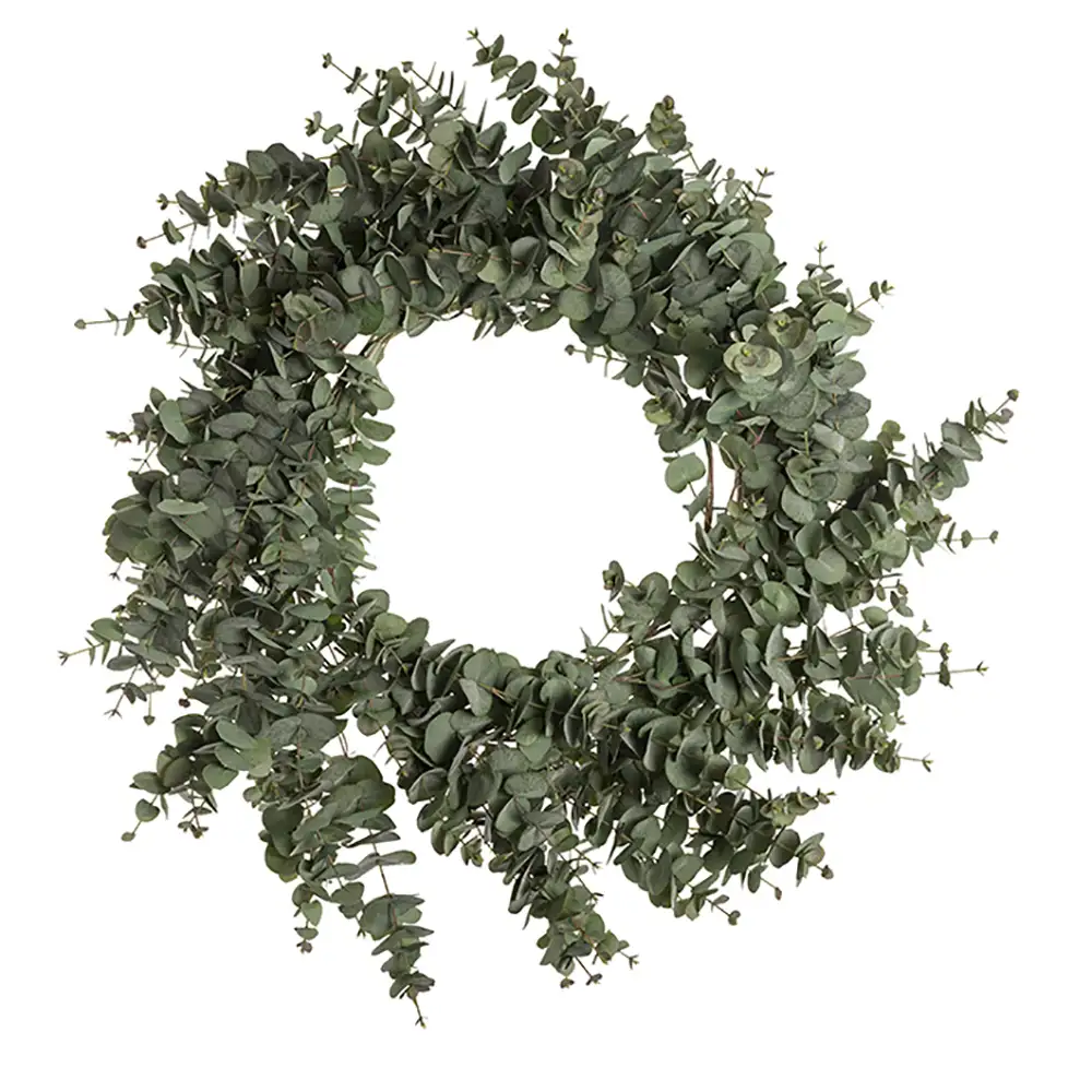 Produktfoto för Mr Plant, Eucalyptus krans 100 cm