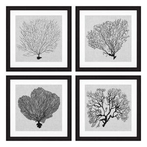 Tavlor Shadow Sea Fans set om 4