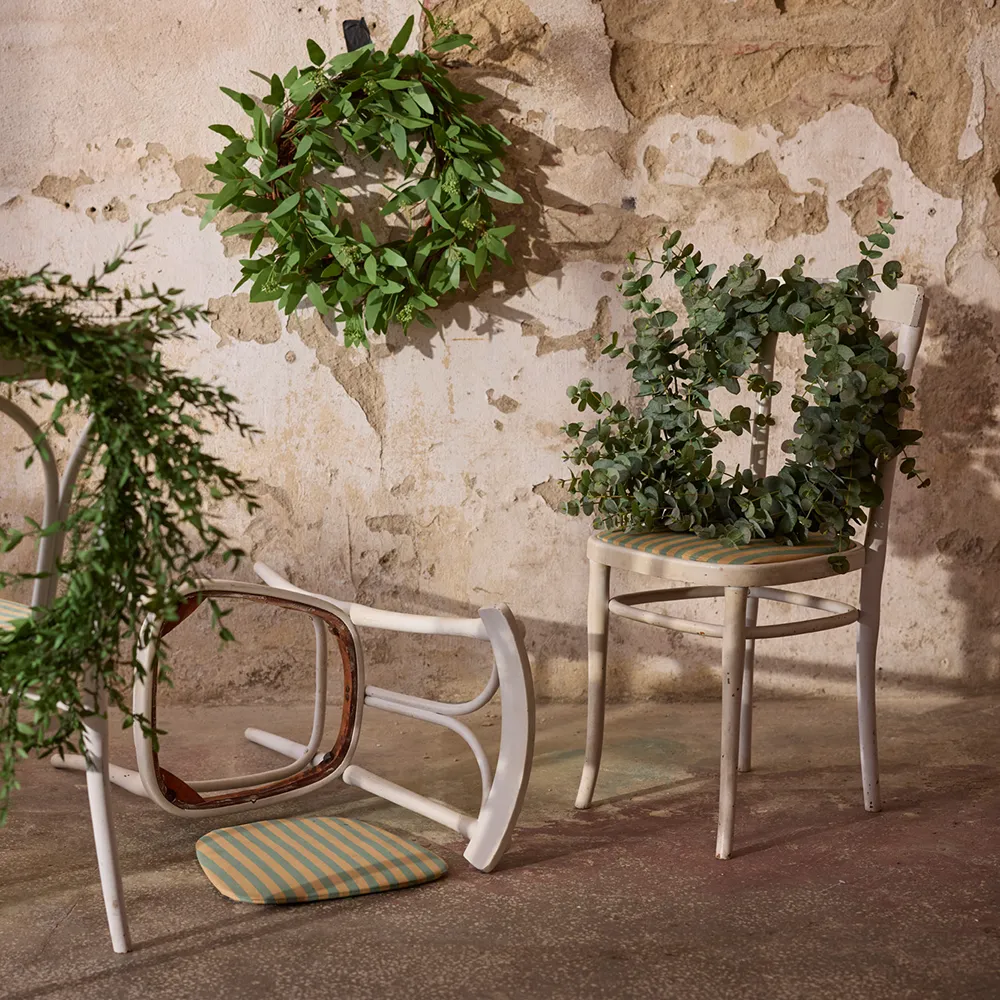 Eucalyptus krans 50cm