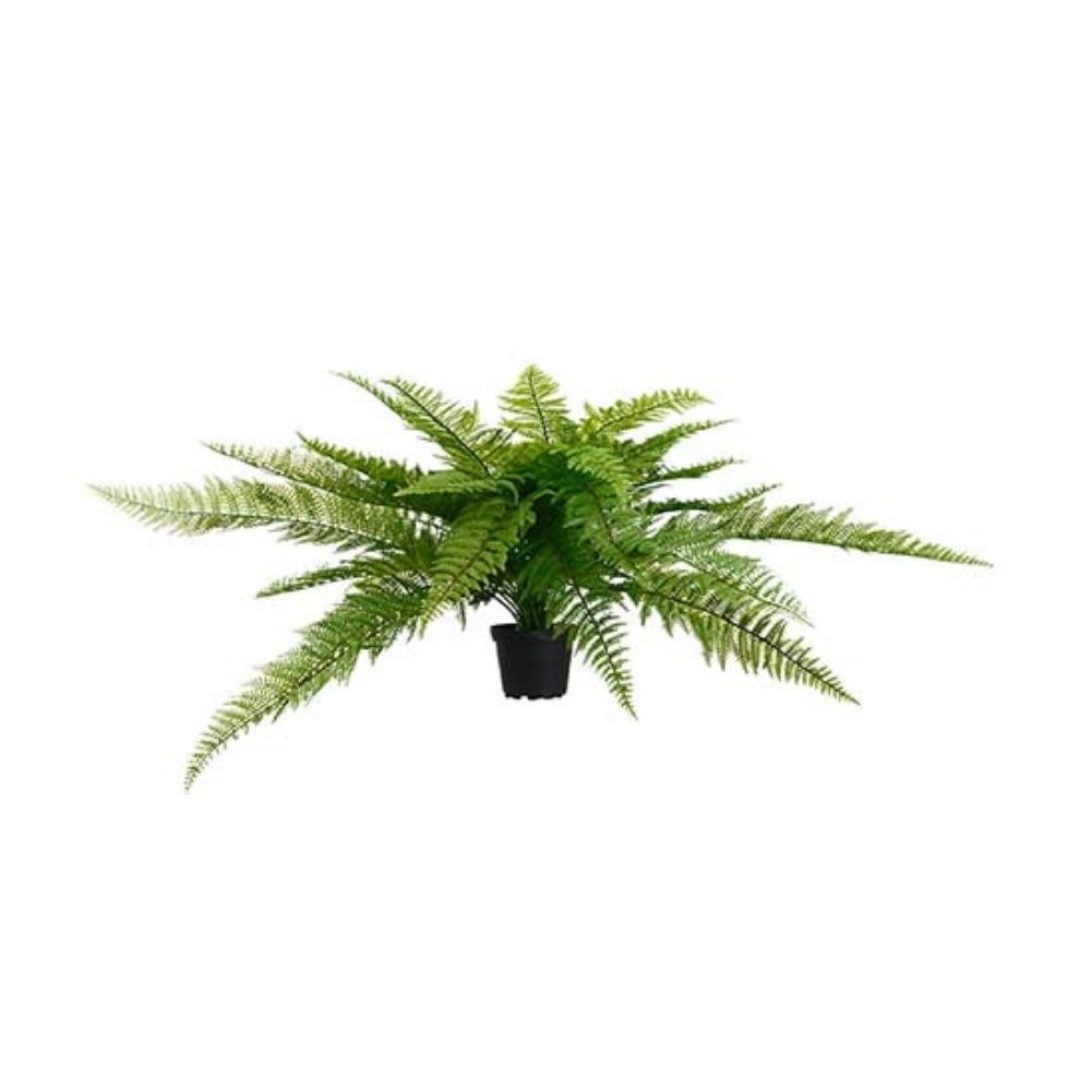 Ormbunke Grön 35 cm