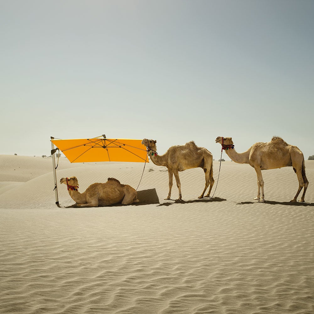 Sombrano S+ frihängande parasoll 400 cm anodizerad alu Kat.5 526 Bamboo