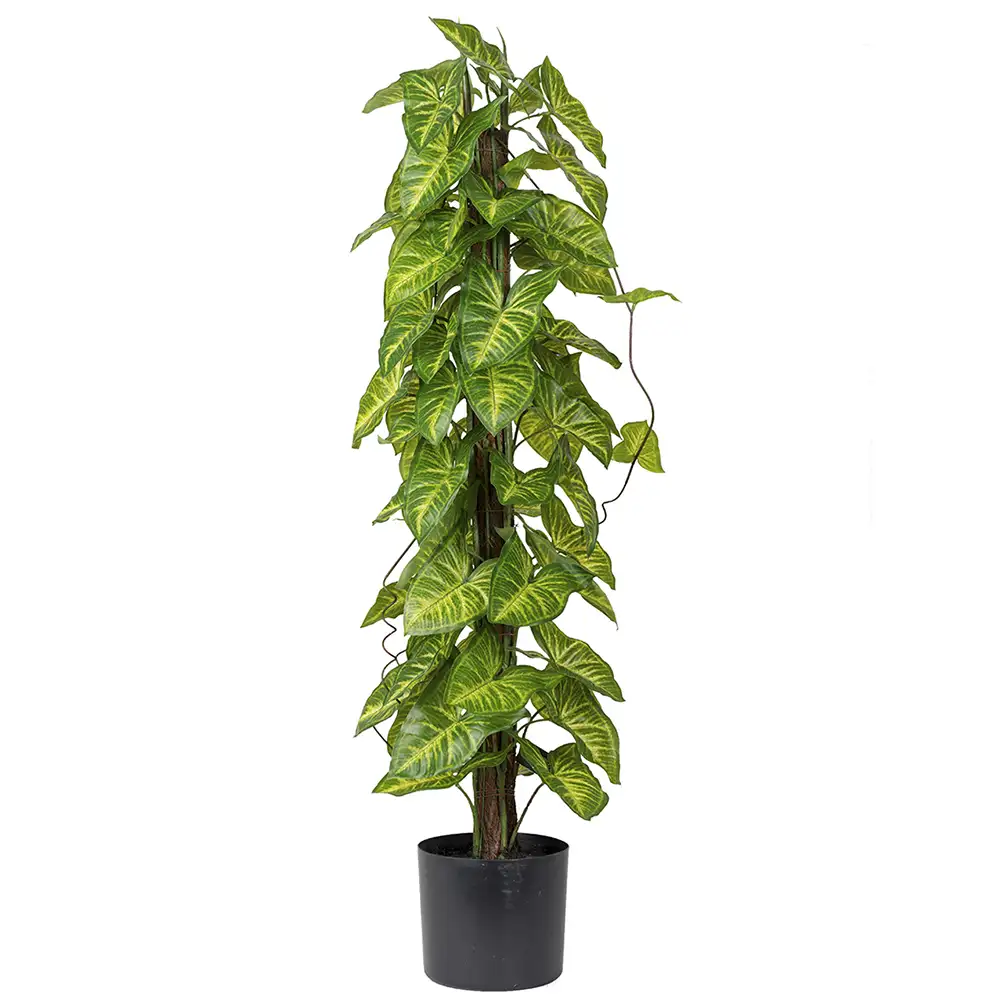 Mr Plant Gåsfot Krukväxt 90 cm