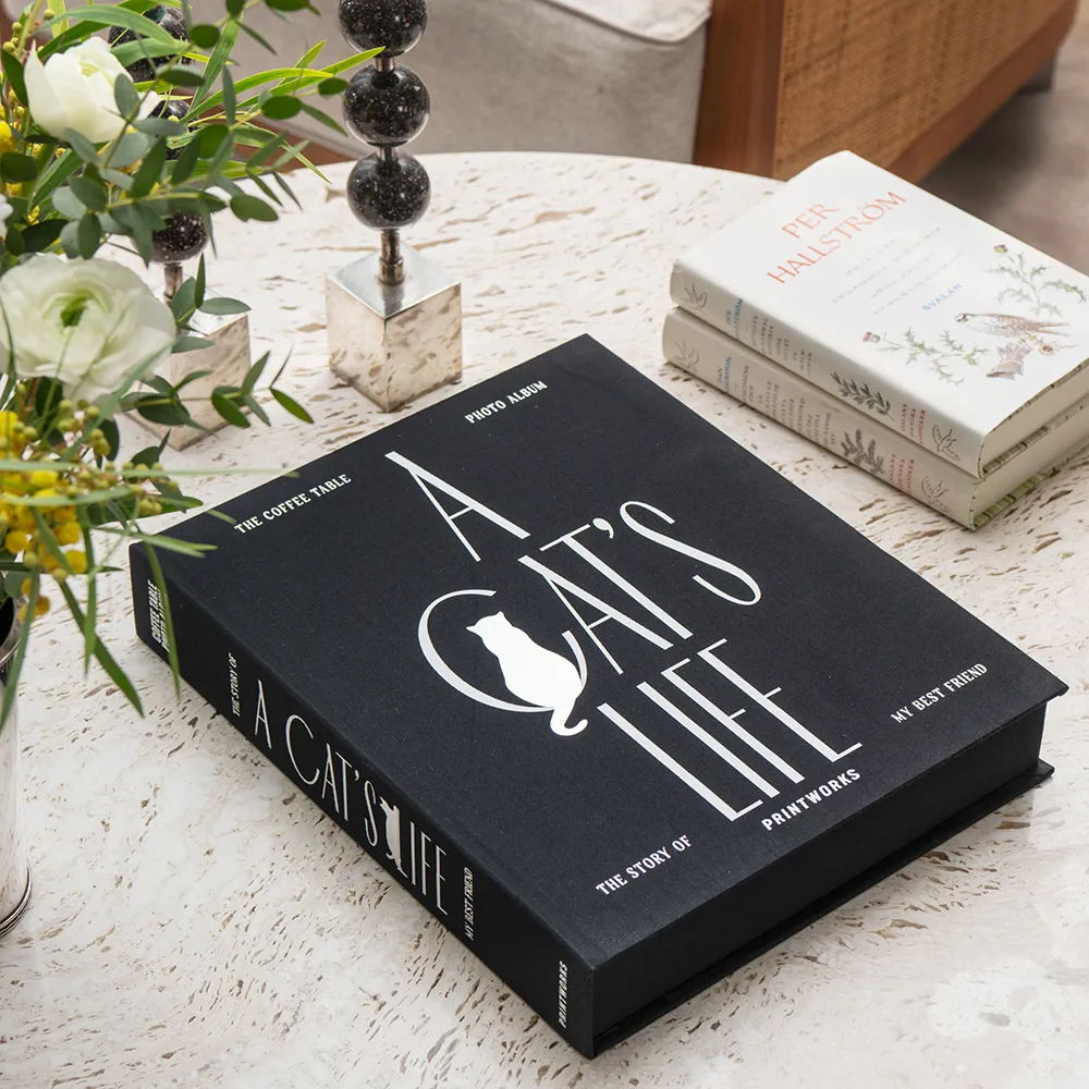 Katt fotoalbum - A Cat's Life