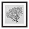 Tavlor Shadow Sea Fans set om 4