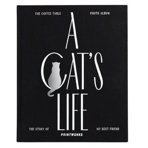 Katt fotoalbum - A Cat's Life