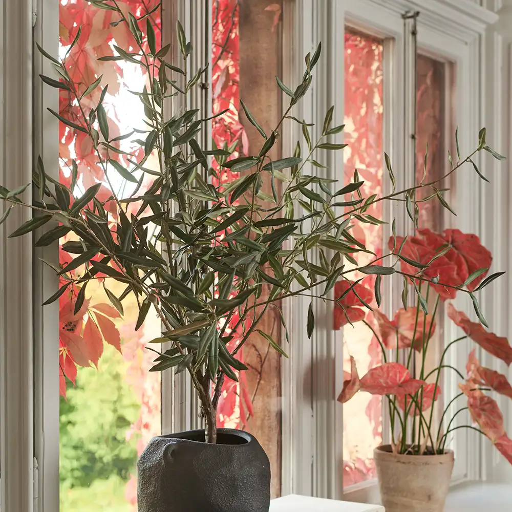 Olivträd 130 cm Grön 