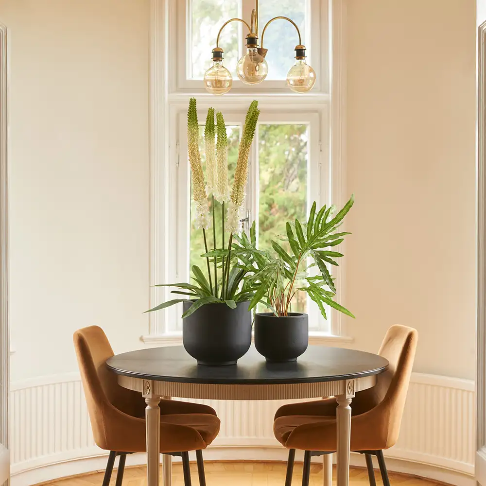 Stäpplilja Krukväxt 95 cm Vit 