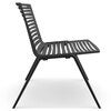 Zebra fåtölj Black 