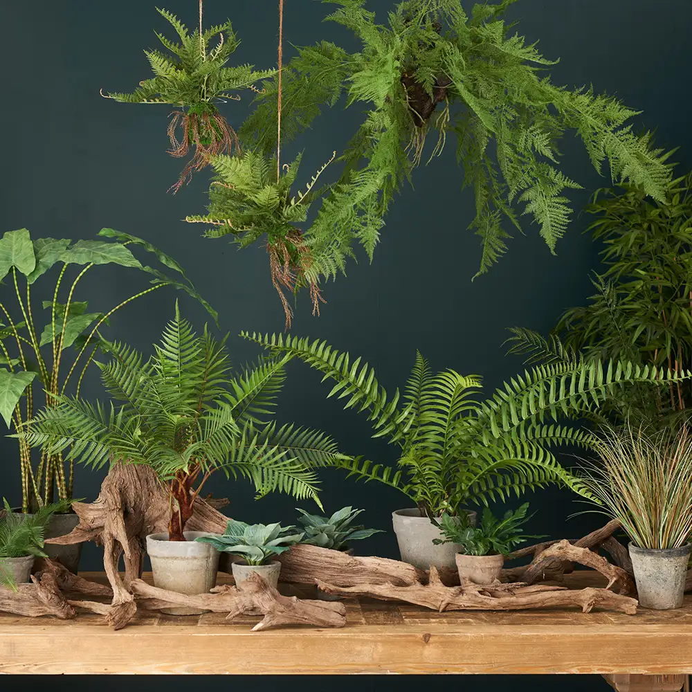 Ormbunke 90 cm Grön 