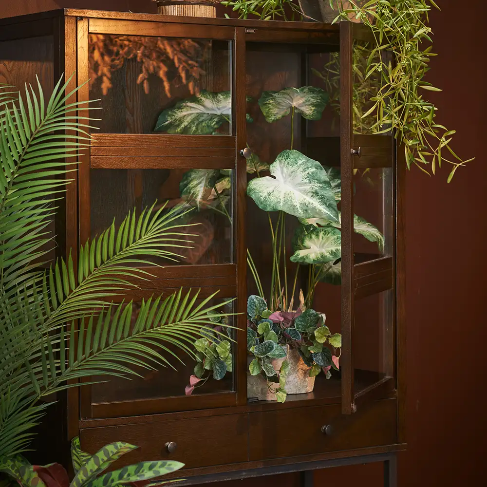 Caladium Krukväxt 80 cm 