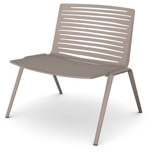 Zebra fåtölj Pearly Gold 