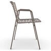 Zebra karmstol Pearly Gold