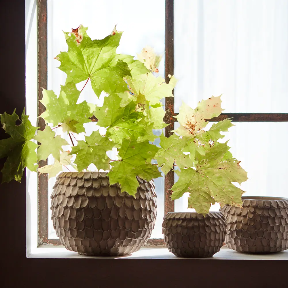 FUDGE Kruka XS Nougat brown