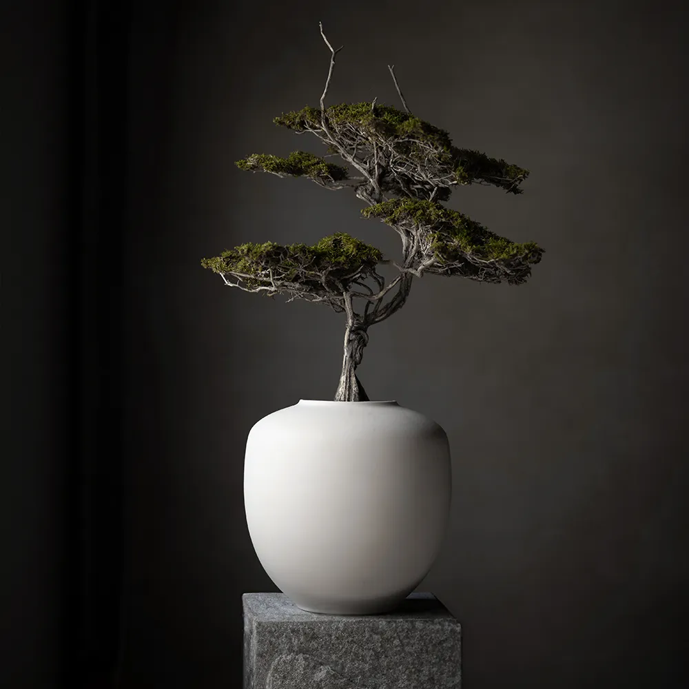 Sunao Vas Medio - Birch