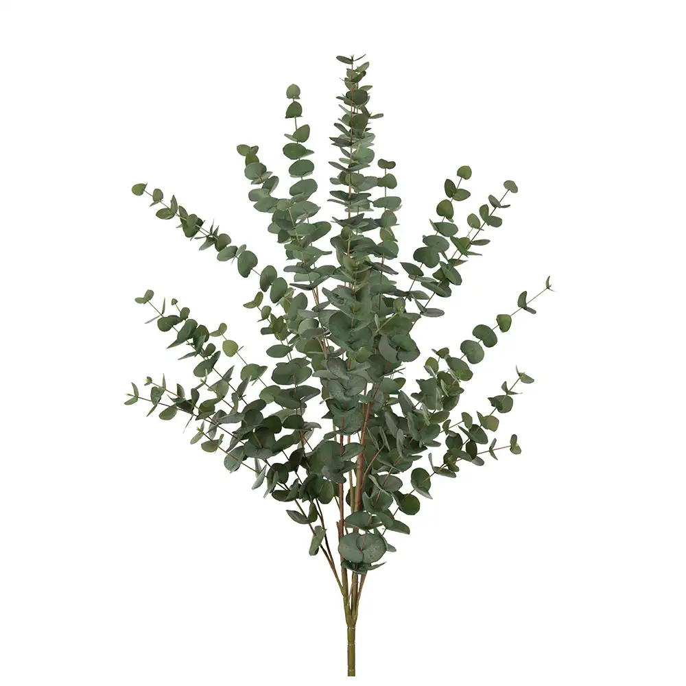 Mr Plant Eucalyptus Kvist 120 cm