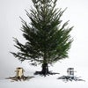 Julgransfot Black 