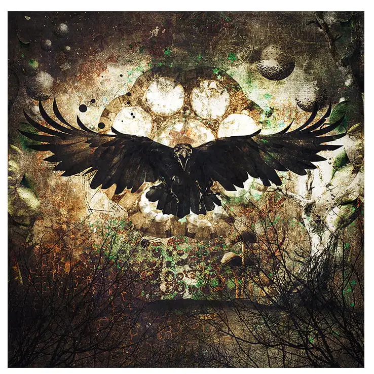 Väggdekor Raven 100x100 cm 