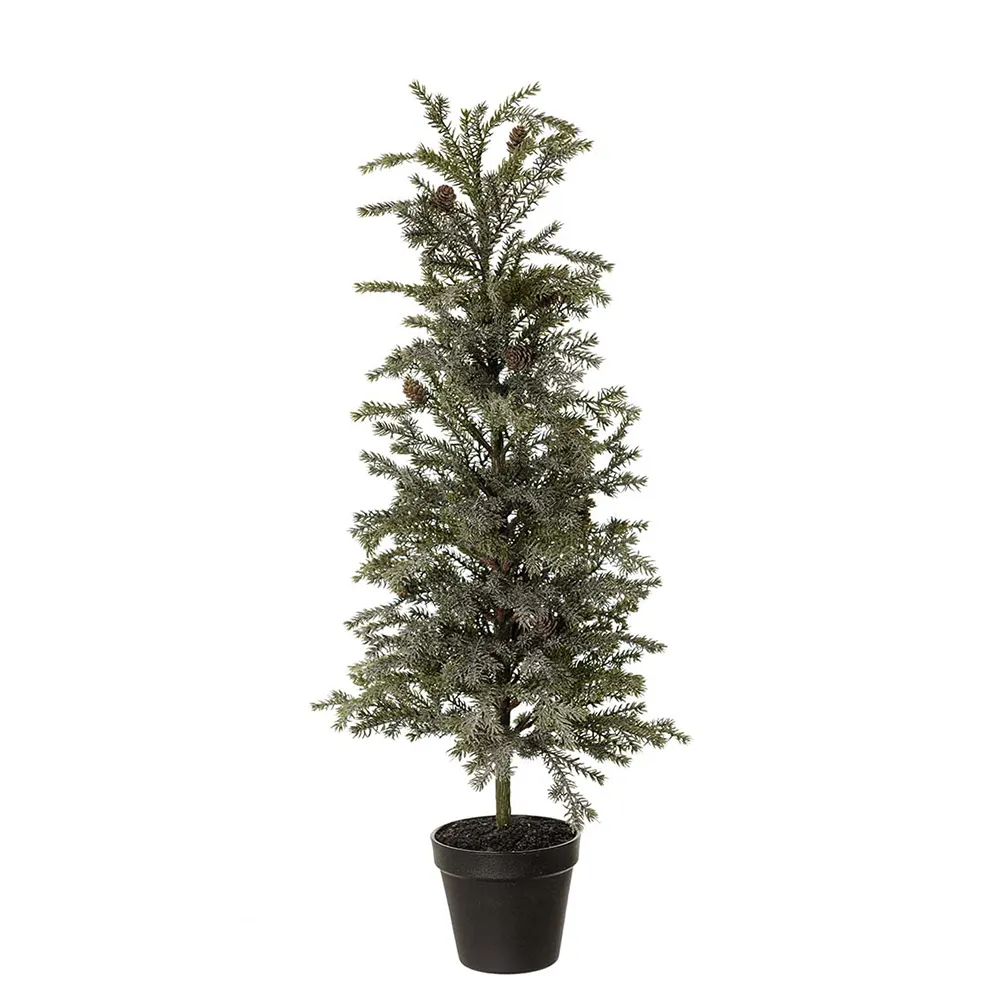 Mr Plant Gran med is 70 cm