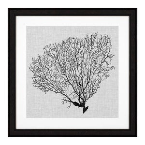 Tavlor Shadow Sea Fans set om 4