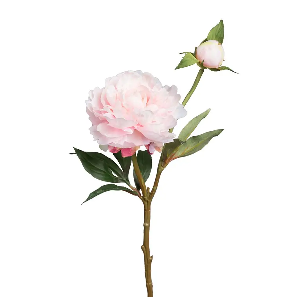 Pion 35 cm Rosa