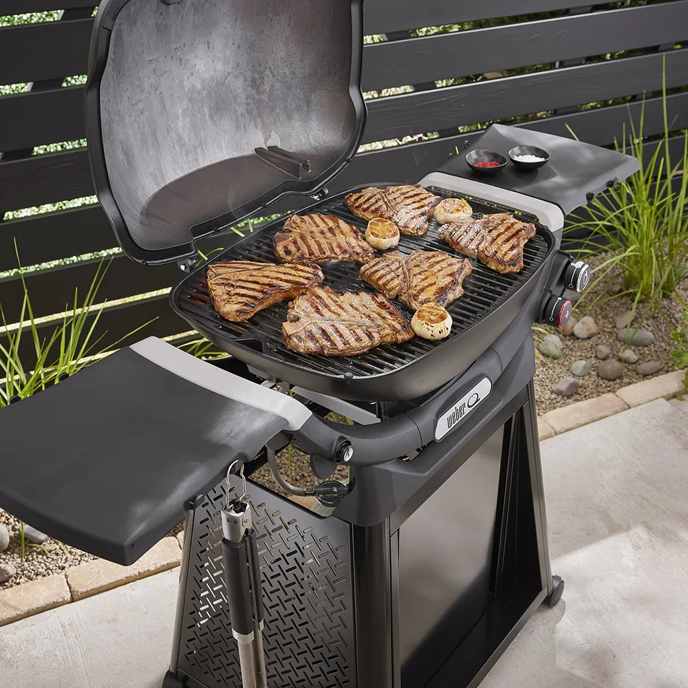 Q3200N+ gasolgrill med premiumvagn