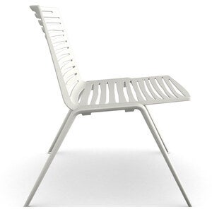 Zebra fåtölj White 
