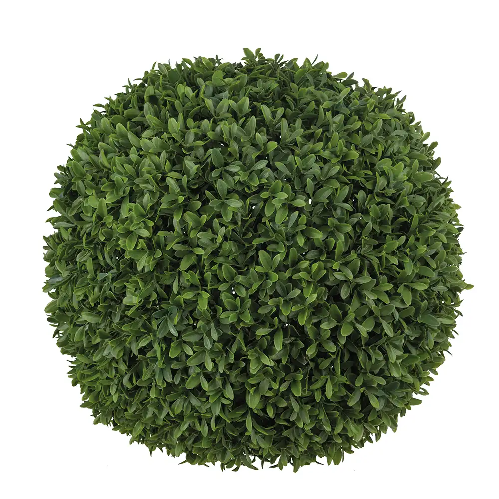 Produktfoto för Mr Plant, Buxbom Boll Grön 60 cm