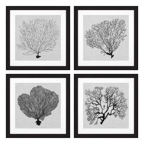 Tavlor Shadow Sea Fans set om 4