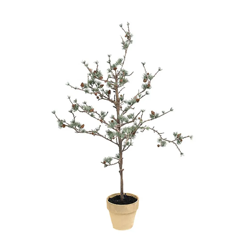Produktfoto för Mr Plant, Lärkträd 100 cm