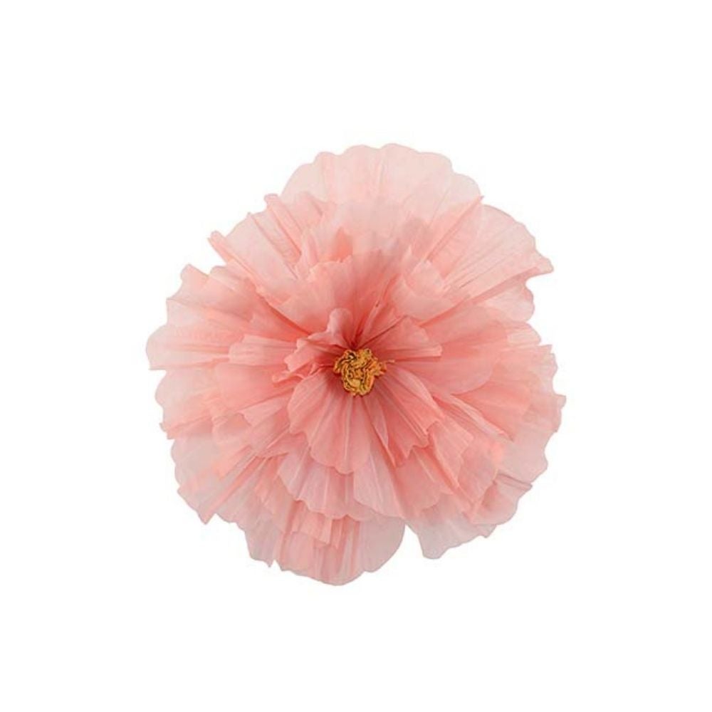 Blomma Daisy vägg Orange