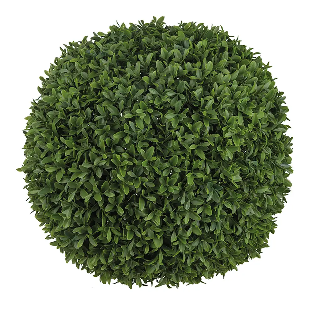 Produktfoto för Mr Plant, Buxbom Boll Grön 50 cm