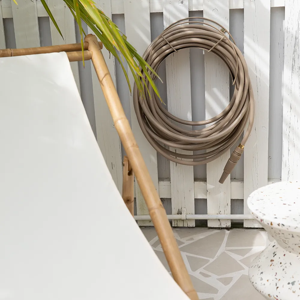 Vattenslang Sahara Desert 