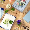 Blompress Kit